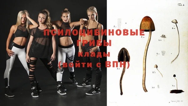 спиды Покачи