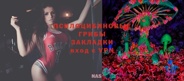 спиды Покачи