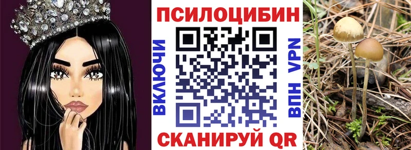 Галлюциногенные грибы Psilocybine cubensis что такое наркотик Нижняя Тура